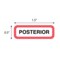 Nevs Position Labels - Posterior 1/2" x 1-1/2" White w/Red & Black XP-540 - alternate 2
